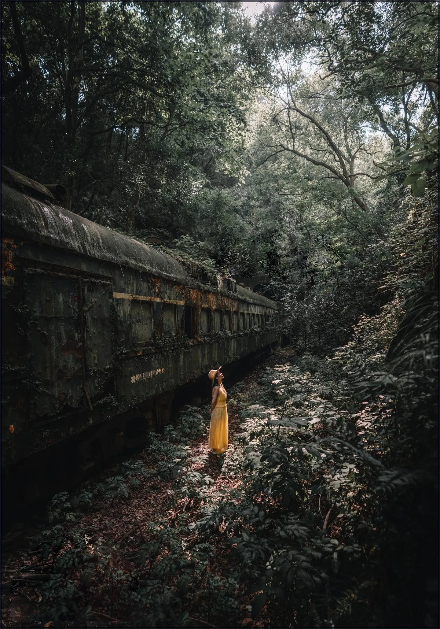 Forest