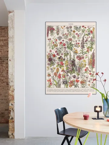 Fleurs Larousse print