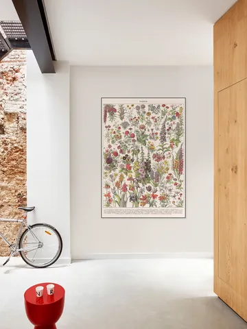 Fleurs Larousse print
