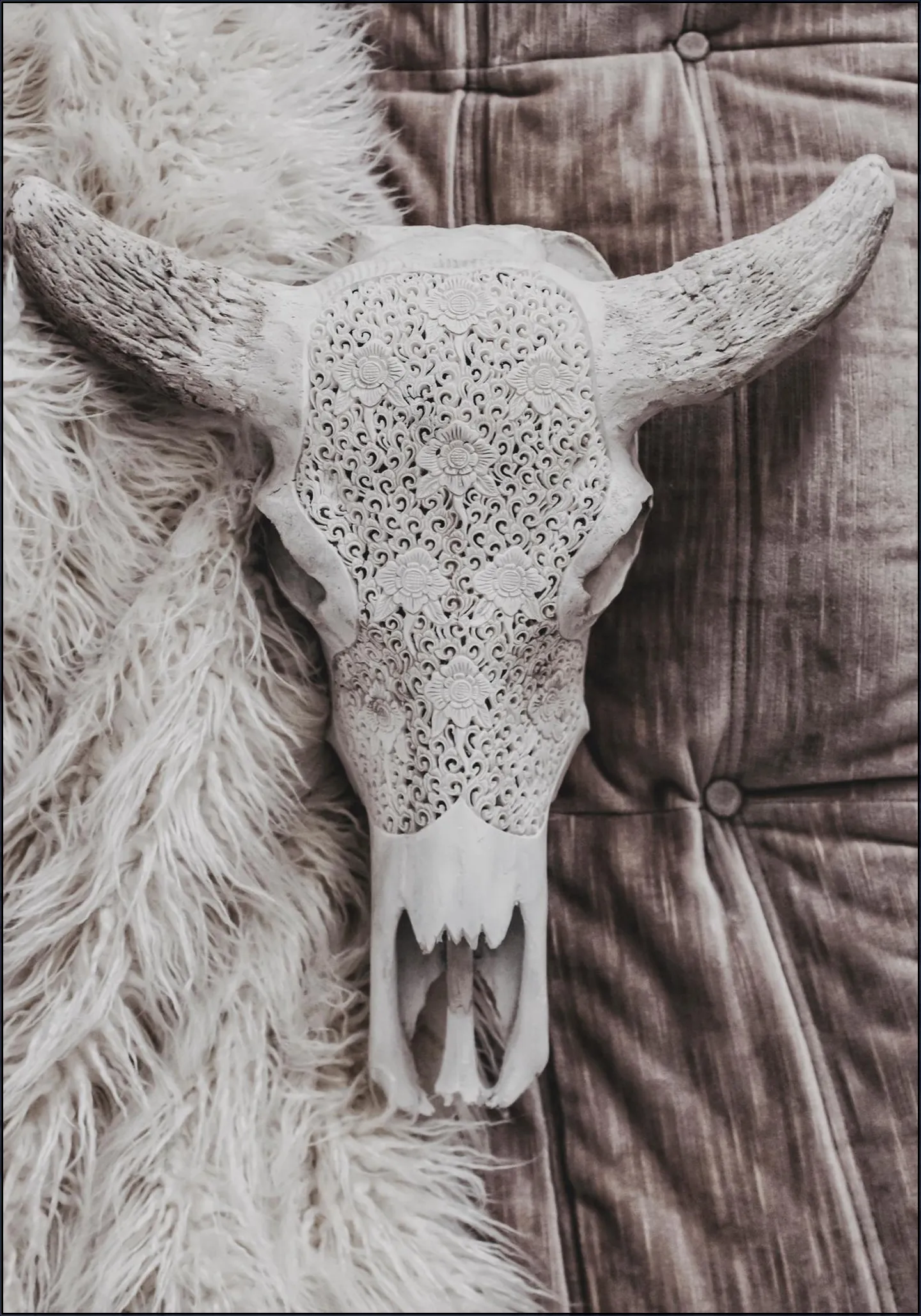 Velvet and Bone
