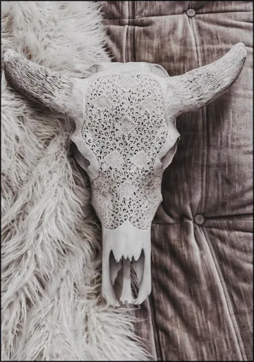 Velvet and Bone
