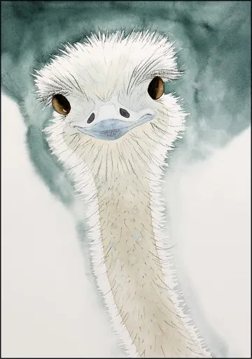 Happy Ostrich