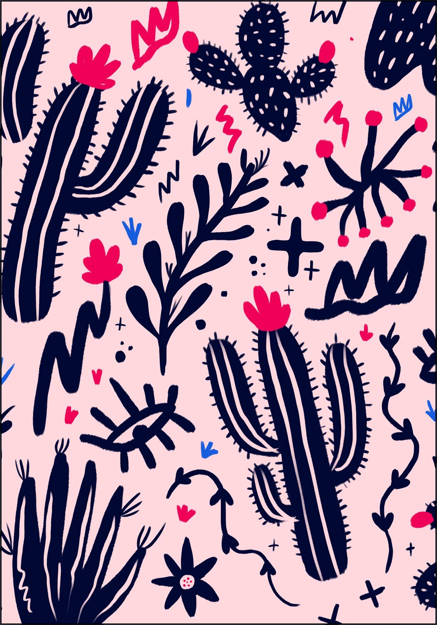 Mexico Cactus