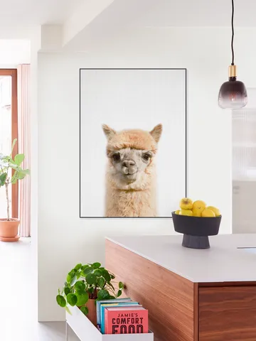 Alpaca