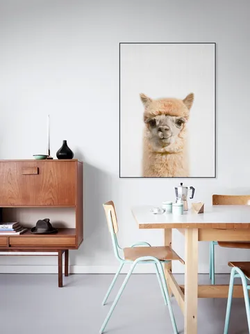 Alpaca
