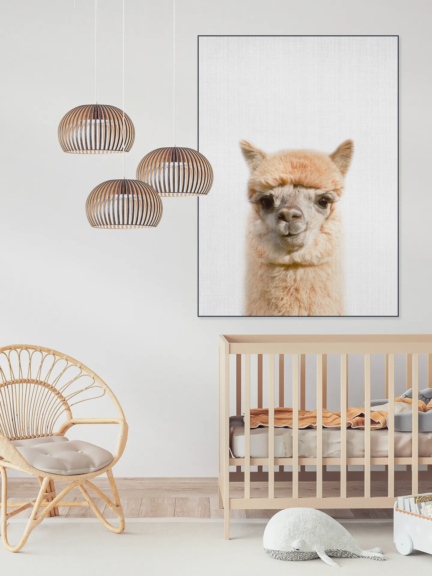 Alpaca
