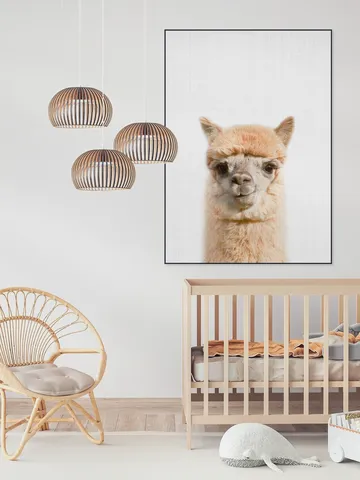 Alpaca