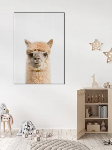 Alpaca