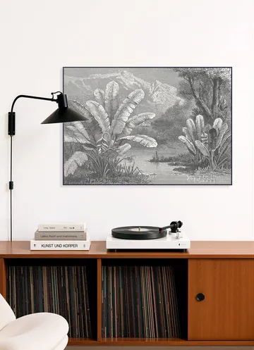 Tropical Marsh