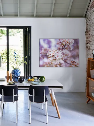 Spring Flowers