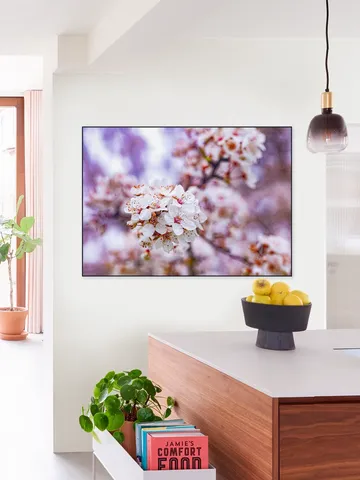 Spring Flowers