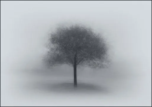 Tree in Fog