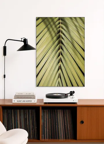 Tropical