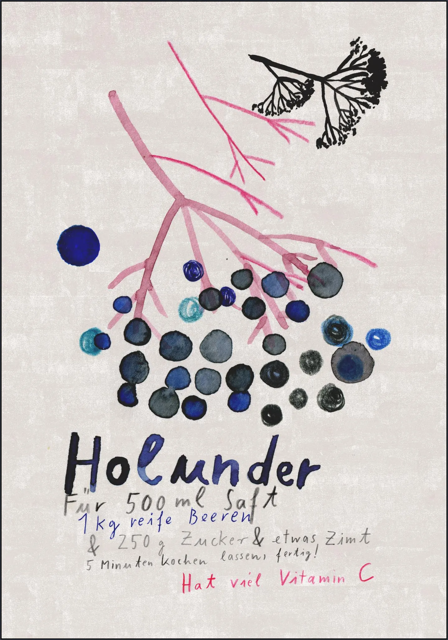 Holunder