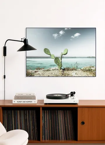 Tropical Cactus