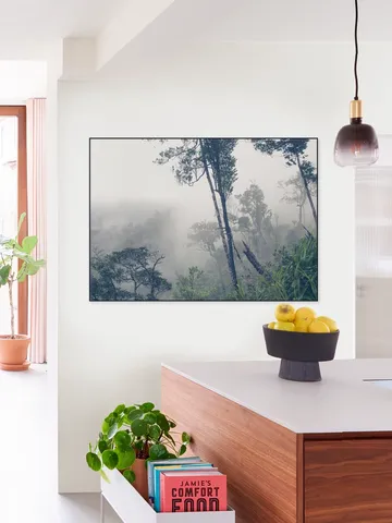 Trees in the Fog