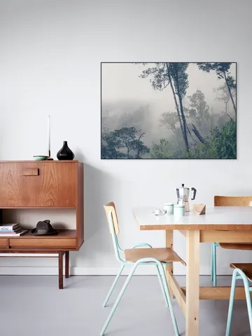 Trees in the Fog