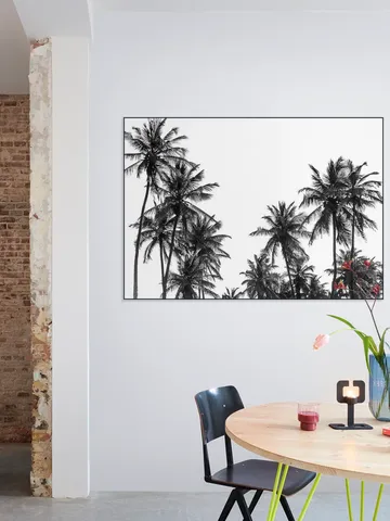 Palm Trees in Africa