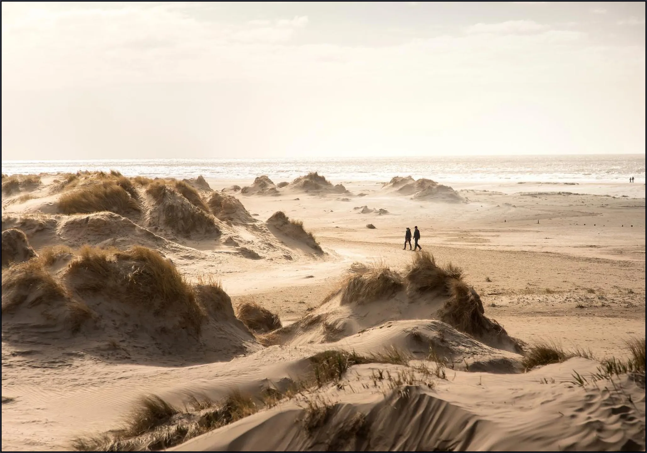 Dunes of Rømø 