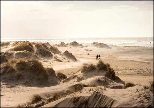 Dunes of Rømø 