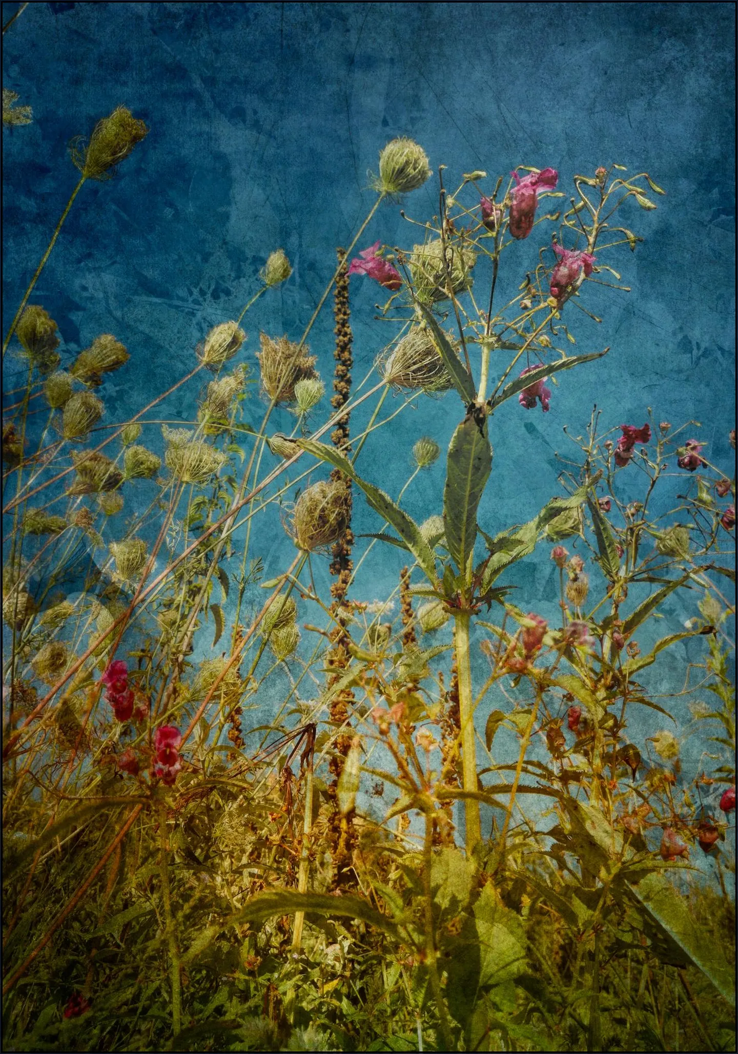 Heat Flowers