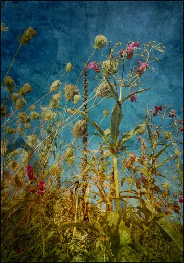 Heat Flowers