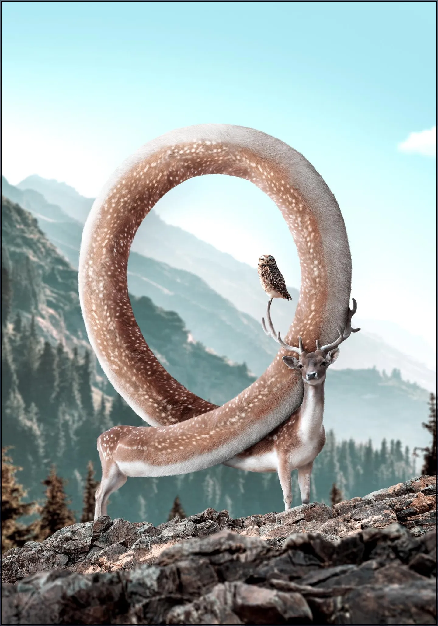 Infinideer