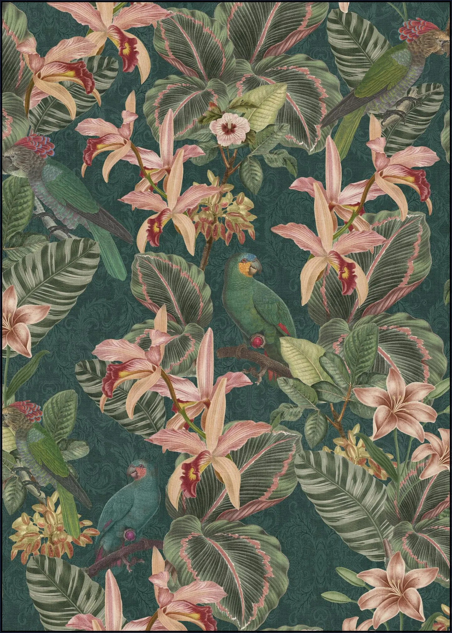 Jungle Parrots Midnight Garden