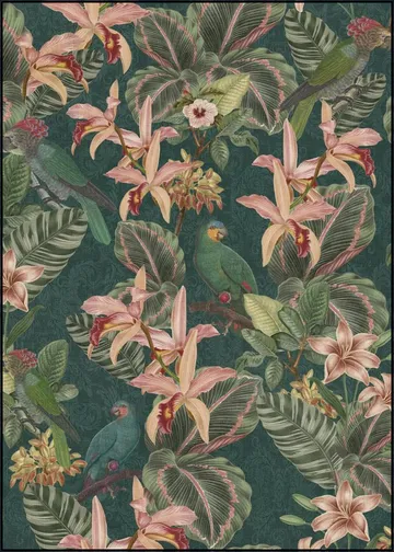 Jungle Parrots Midnight Garden