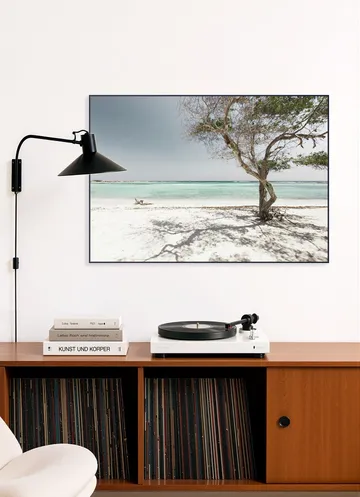 Aruban Waters