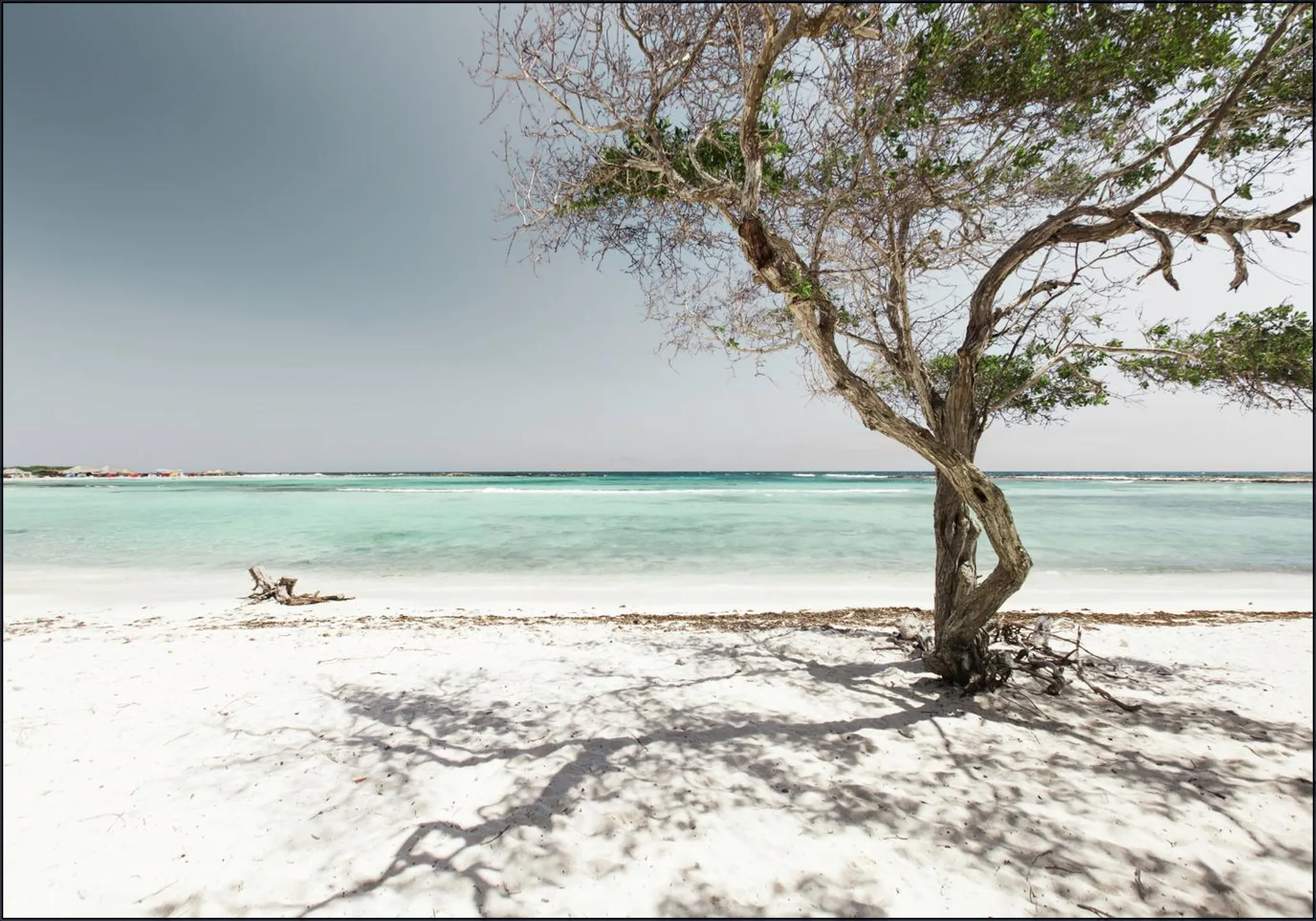 Aruban Waters