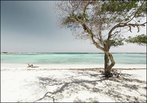 Aruban Waters