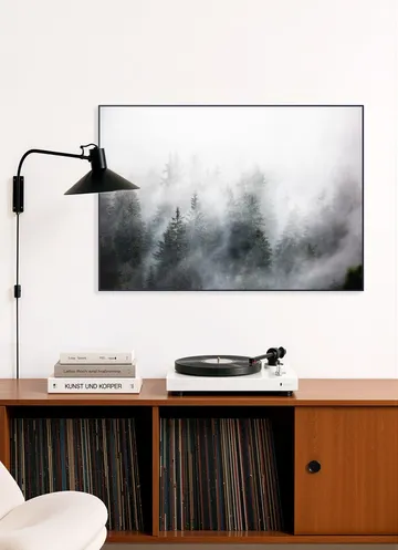 Foggy Woods 6