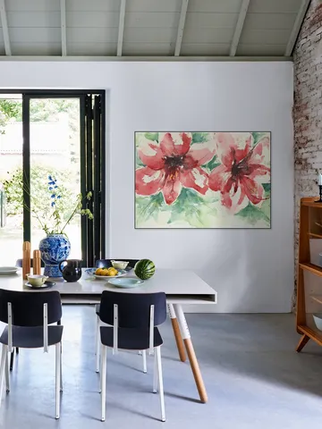Amaryllis