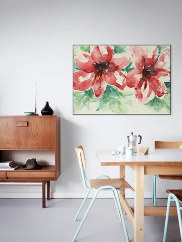 Amaryllis