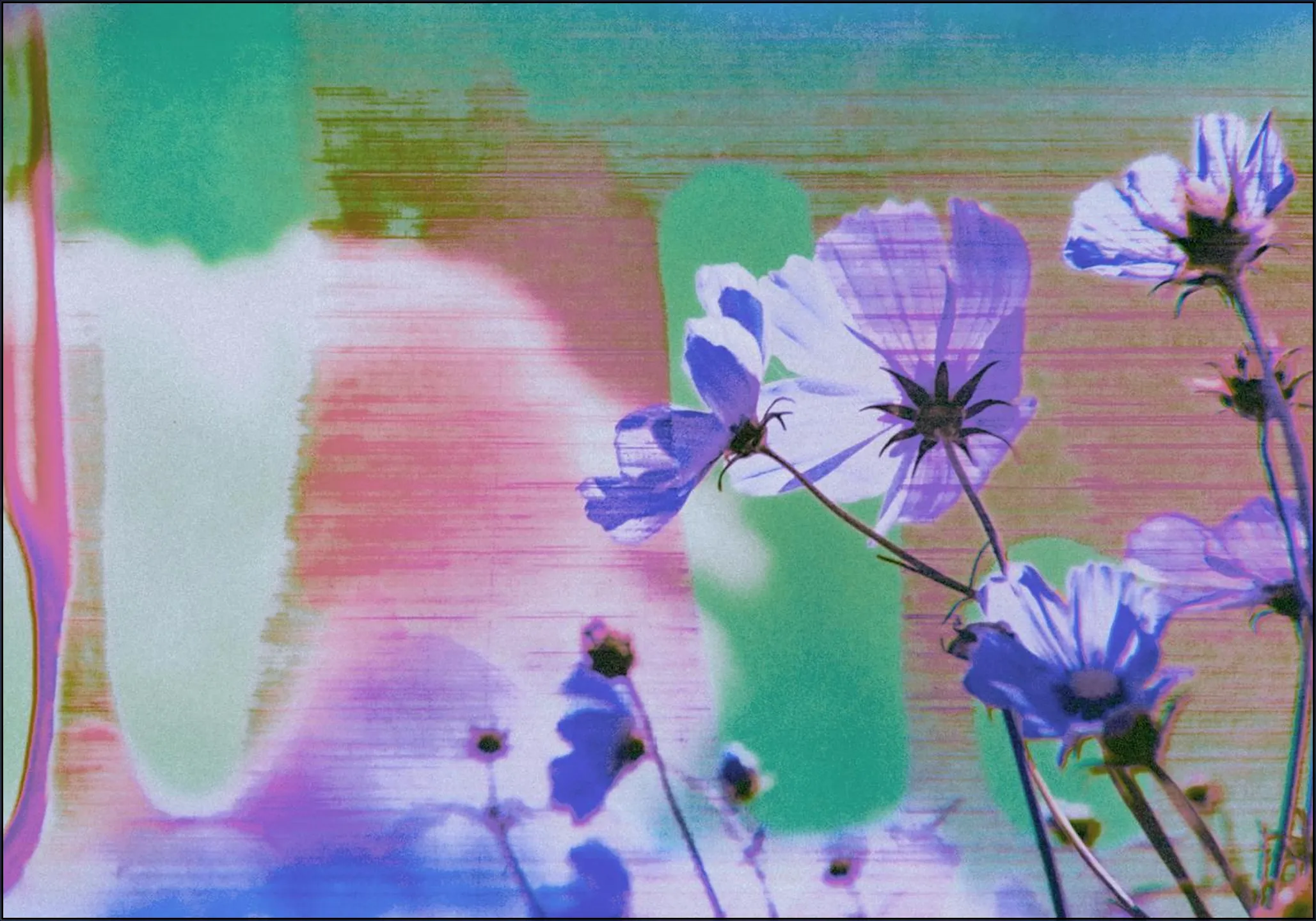 Jubilance