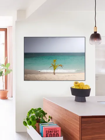 Lonely Palm On Quiet Tropical Beach
