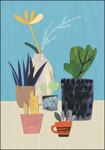 Plants