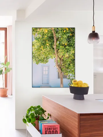 Blue House Lemon Tree