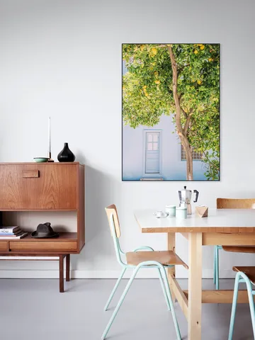 Blue House Lemon Tree