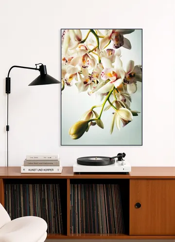 Tiny Orchids