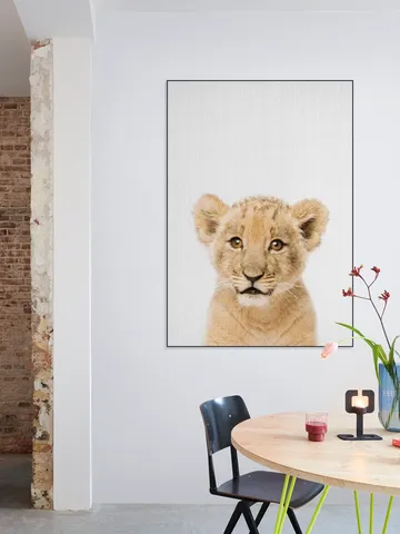 Baby lion - Brown eyes