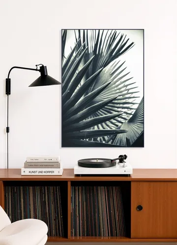 Palm Shade 2