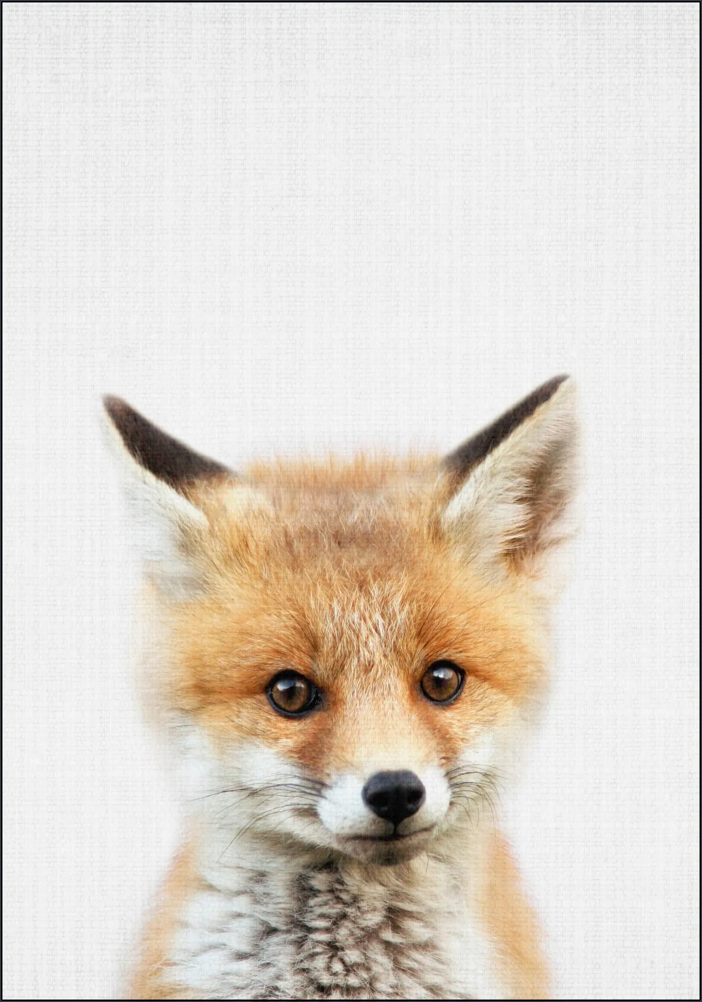 Print 350 Fox