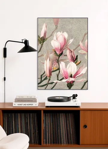 Magnolia