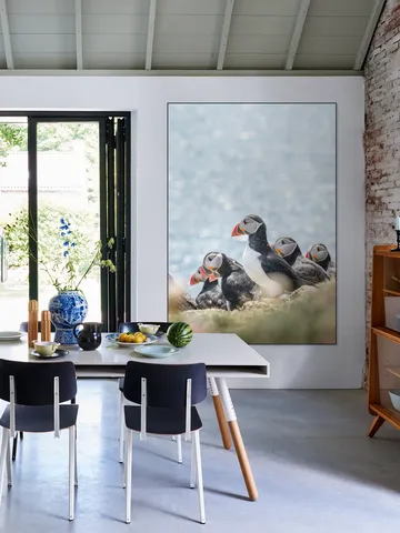 Puffins