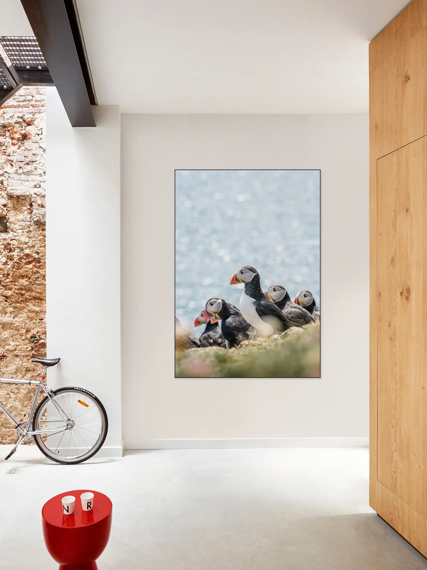 Puffins