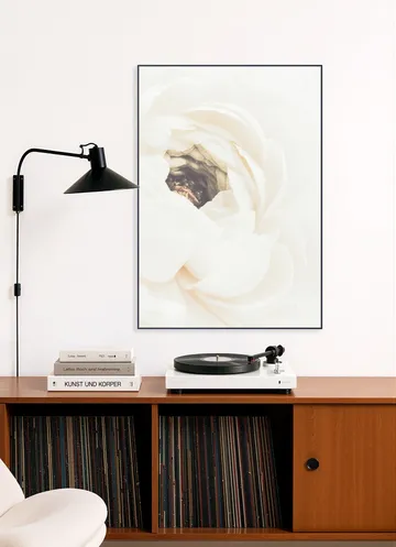 White Flower 01
