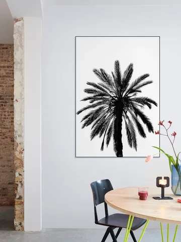 Palm in Palermo