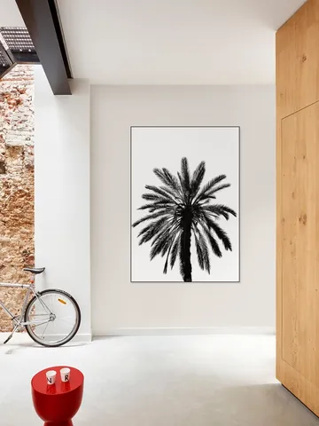 Palm in Palermo